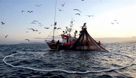 La Pesca Industrial Contribuye Al Crecimiento Del Pbi El Montonero