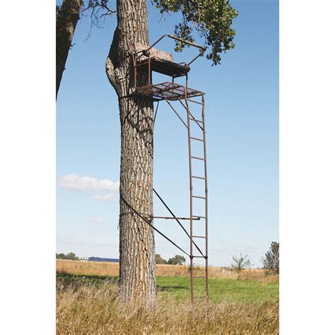Api® 18 Ultra Steel 2 Person Deluxe Ladder Tree Stand Realtree® Ap™ 222658 Ladder Tree