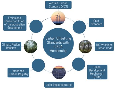 What Is Carbon Offsetting And How Can It Help Your Net Zero Objectives
