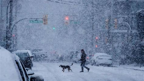 More Snow On The Way For Southern Bc On Tuesday Cbc News