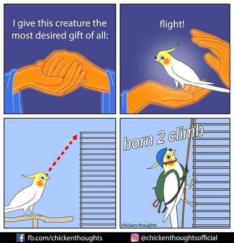 Best U Chickenthoughts Images On Pholder Chicken Thoughts Party Parrot And Wholesomememes