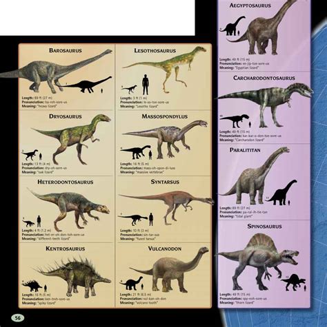 Africa Dinosaur Resources Fossil Hunters