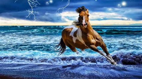 Horses By The Ocean Wallpapers Wallpaper Cave