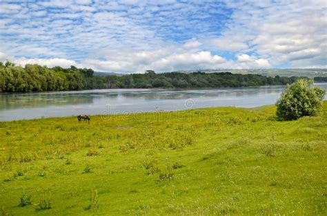 Plain River Meadow And Floodplain Forest On Shore Stock Photo Image