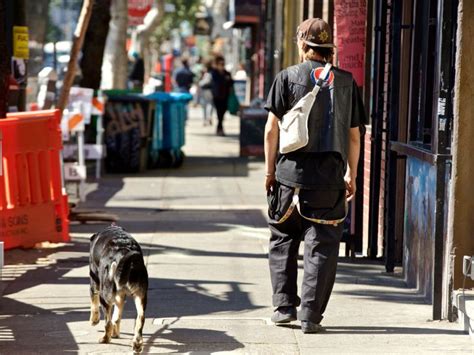 State Will Pay Vets To Treat Homeless Peoples Pets July 8 2019 Sf