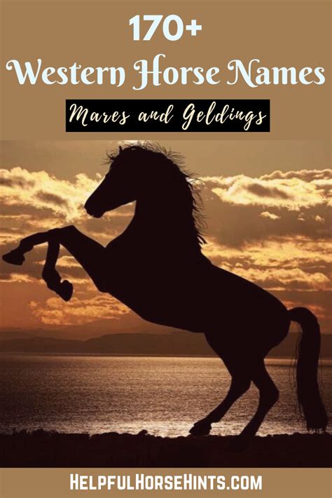 301 Western Horse Names For Mares And Geldings Male And Female Artofit