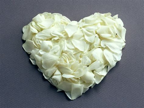 Check spelling or type a new query. >> TAKE MBC: Dove and White Rose Love Story