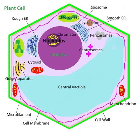 Check spelling or type a new query. Bits of Biology