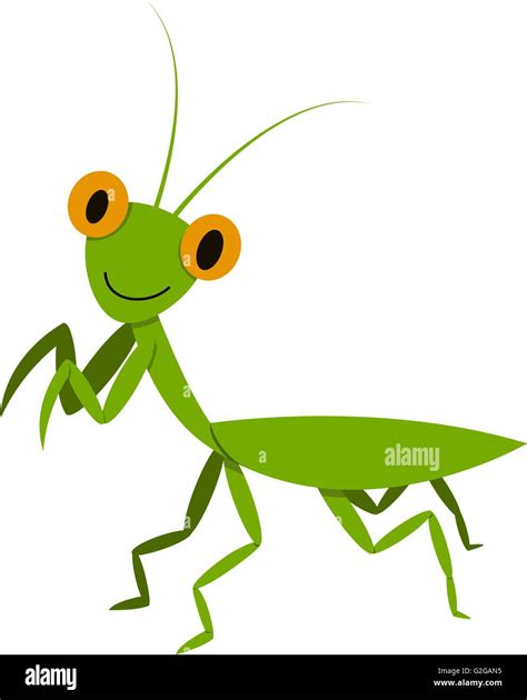 Mantis Mantodea Grasshopper En Estilo Plano Vector Animal Imagen