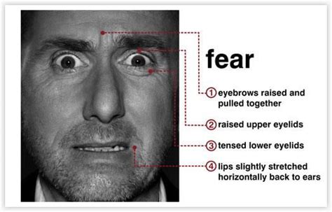 Fear Facial Expression Universal Emotion Forensic Science