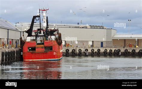 Peterhead Fish Market Hi Res Stock Photography And Images Alamy