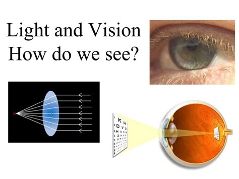 Ppt Light And Vision How Do We See Powerpoint Presentation Free