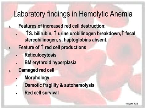 Anemia Diagnosis Understanding Iron Deficiency Anemia And Its
