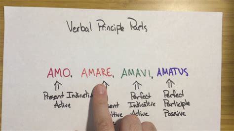 Latin The Principal Parts Of Verbs Youtube