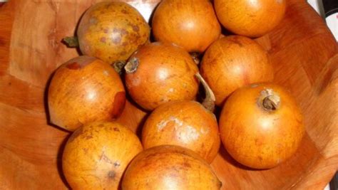 10 Amazing Native African Fruits To Enjoy And Ways To Eat Them African