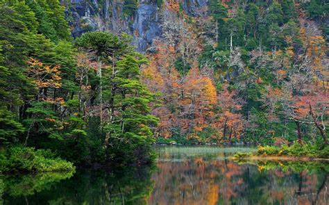 Nature Landscape Forest Fall Lake Reflection Mountains National