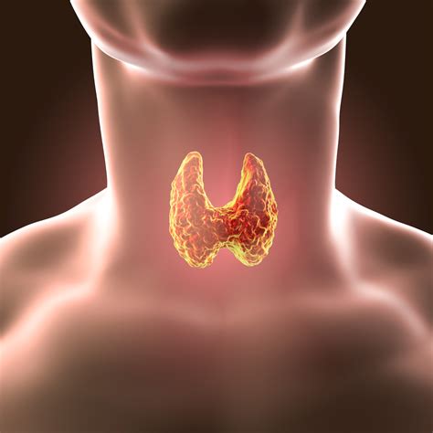 Thyroid Nodules Diagnosis Thyroid Nodules Treatment Must Know