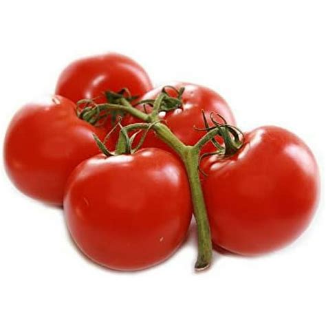 Early Girl Hybrid Tomato Seeds Non Gmo