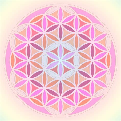 Flower Of Life Free Stock Photo Public Domain Pictures