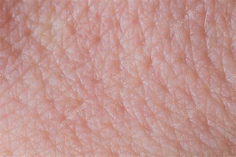 Human skin texture close up. Macro of brown young person clean skin ...