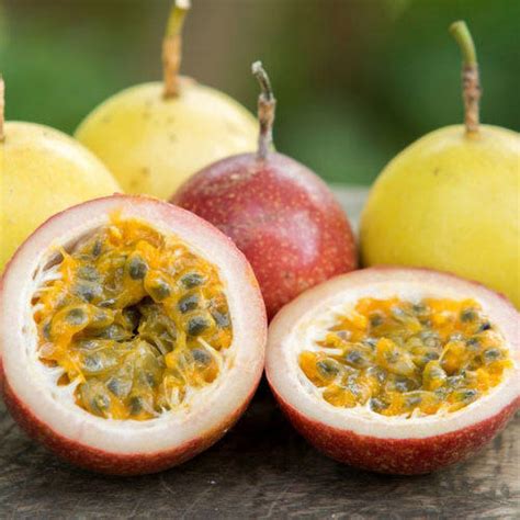 Organic Passion Fruit Red And Yellow Seeds Open Pollinated