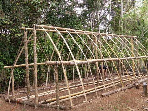 13 Diy High Tunnel Ideas To Build In Your Garden Bamboo Garden