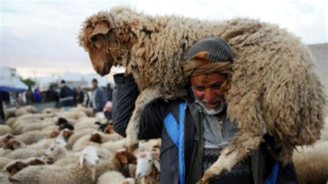 Bonne fête aïd el fitr: Fête de l'Aïd el-Kébir : le prix du mouton au centre des ...