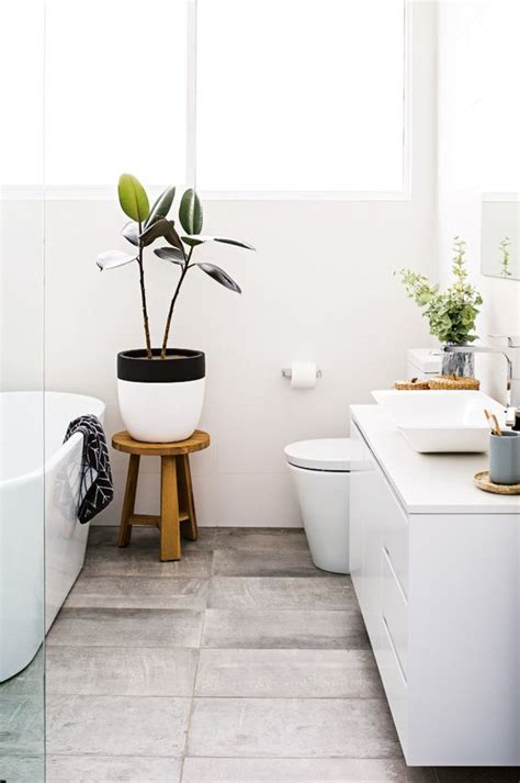 30 Ideas Para Decorar Tu Baño Con Plantas Como Organizar La Casa