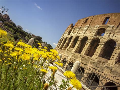 La primera es por la magnificencia obvia de la edificación y la segunda, porque en el lugar donde se. El coliseo de Roma una obra maestra