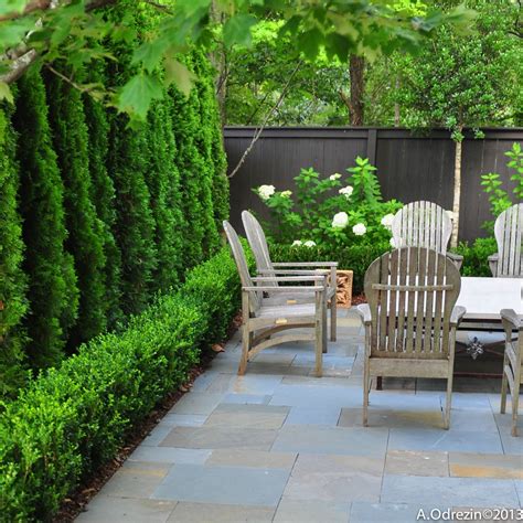 Landscaping Privacy Ideas Image To U