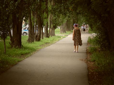 무료 이미지 도로 아스팔트 나무 사람들 산책 잔디 자연 통로 하부 구조 하늘 사진술 소녀 식물 보행 아침 햇빛 경치 그림자 휴양