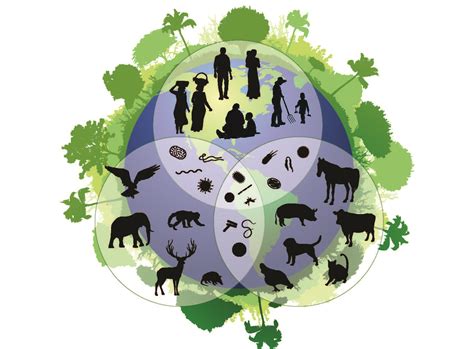 Is Biodiversity Good For Human Health Duke Global Health Institute
