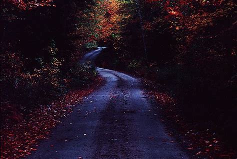 Fall At Dusk Country Road Winding Road Back Road Country Roads