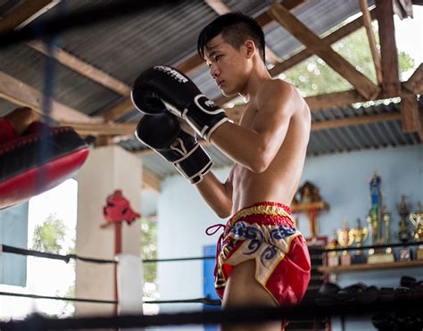 muay thai boxing coaching and training in thailand hua hin career break