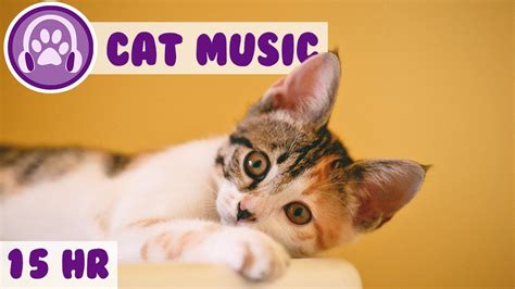 Relax My Cat Music Soothing Feline Therapy Songs Youtube