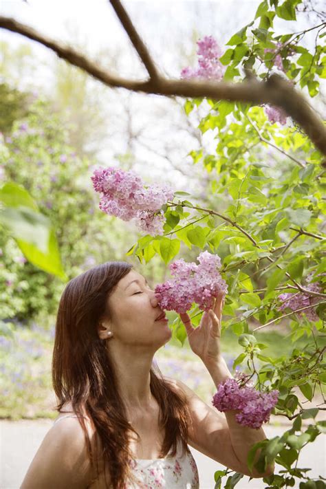 Beautiful Woman Smelling Flowers In Park Stock Photo
