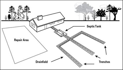 septic systems   maintenance nc state extension publications