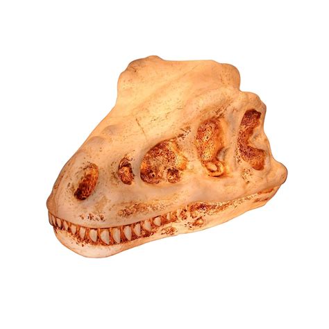 Dinosaur Skull Lamps Dino Head Fossil Accent Lamp Night Light T Rex