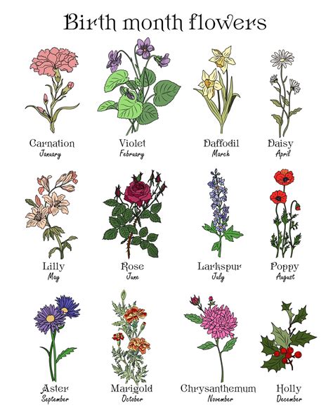 Free Birth Flower Chart With Meanings
