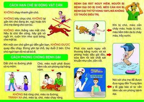 Bệnh Dại Và Cách Phòng Tránh