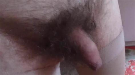small cock xhamster
