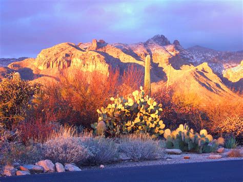 Tucson Mountain Sunset Wallpapers 4k Hd Tucson Mountain Sunset