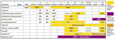 recommended immunization schedules for persons aged through years 4160 hot sex picture