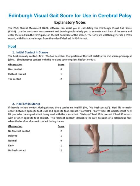 Usingtheedinburghgaitscorepdf Foot Anatomical Terms Of Motion