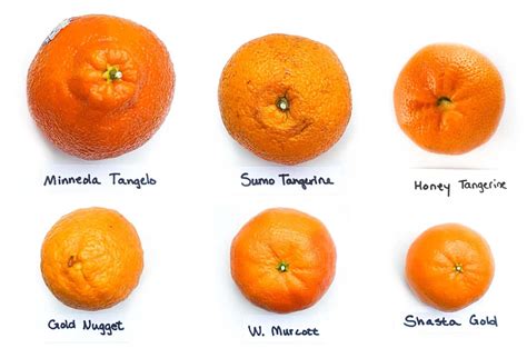 Mandarins Everything You Need To Know Ask The Food Geek