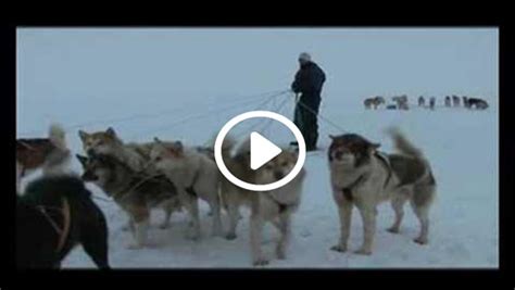 Silent Snow The Movie Trailer American Polar Society