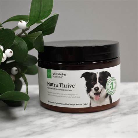 Build your dog's immunity with nutra thrive. Nutra Thrive For Dogs Reviews - All You Need Infos