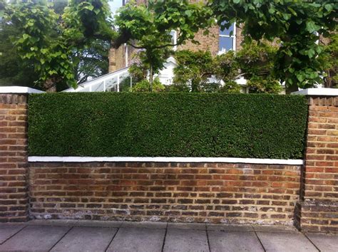 Img8839 1600×1195 Pixels Garden Hedges Brick Wall Gardens