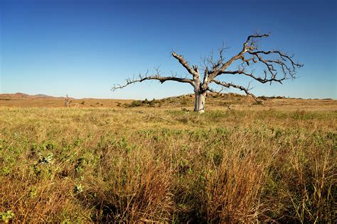 Wichita Wildlife Refuge 13 Photograph By Ricky Barnard