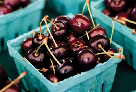 Oregon Cherries A Labor Of Love 1859 Oregons Magazine